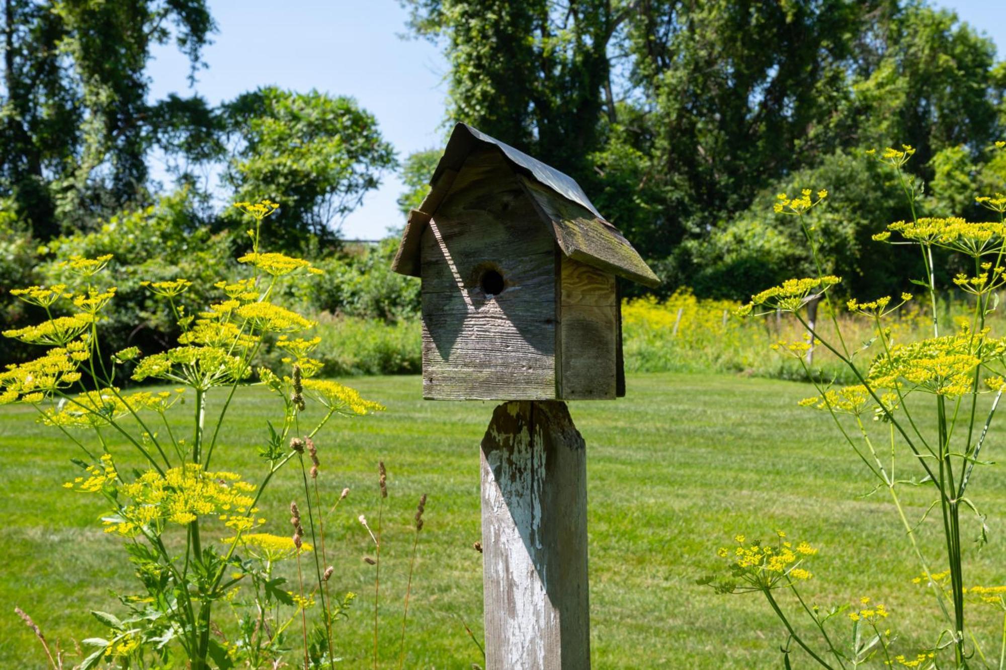 Red Fox Run B&B Cazenovia 외부 사진
